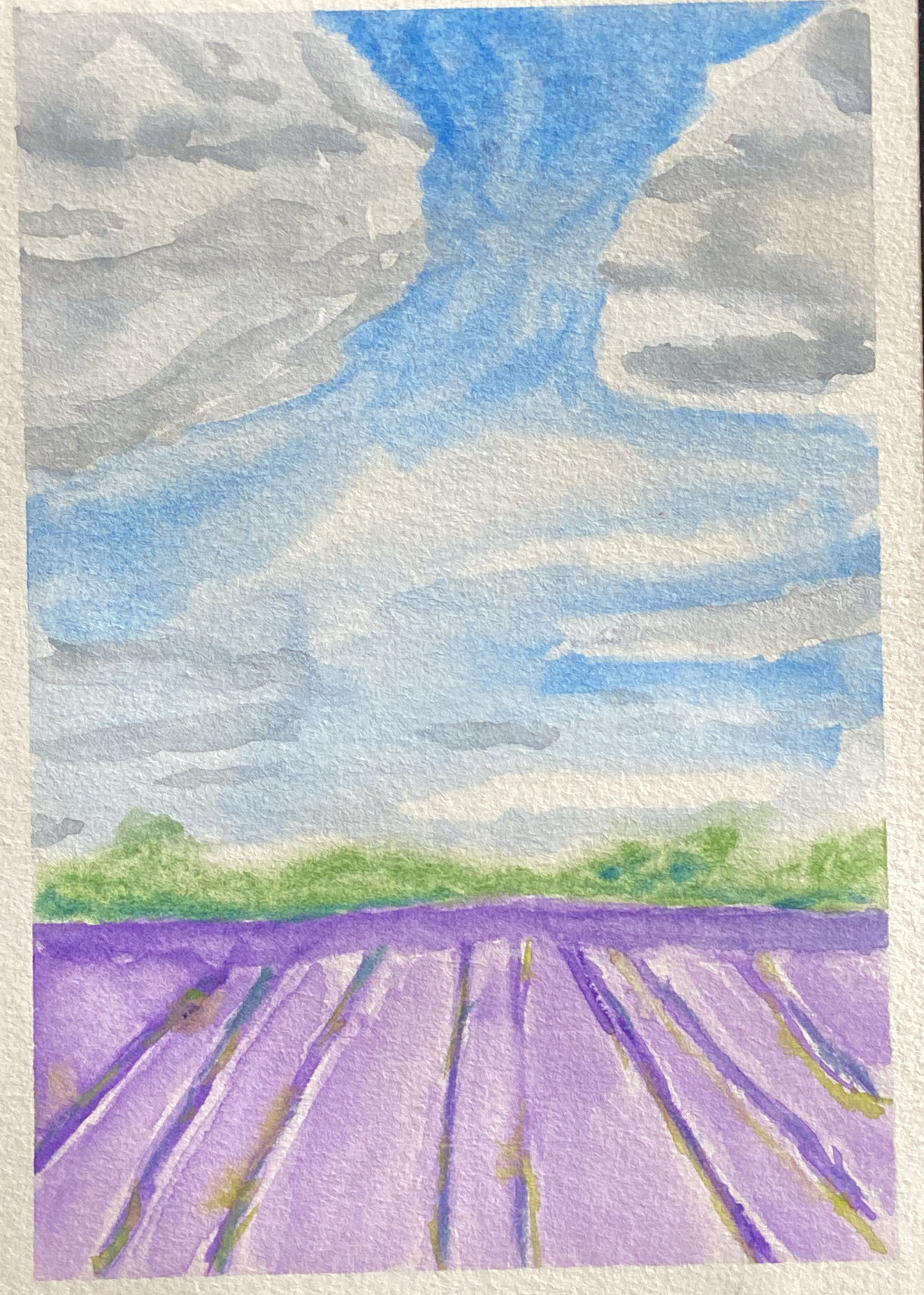 An image of a watercoler painting of lavender fields.